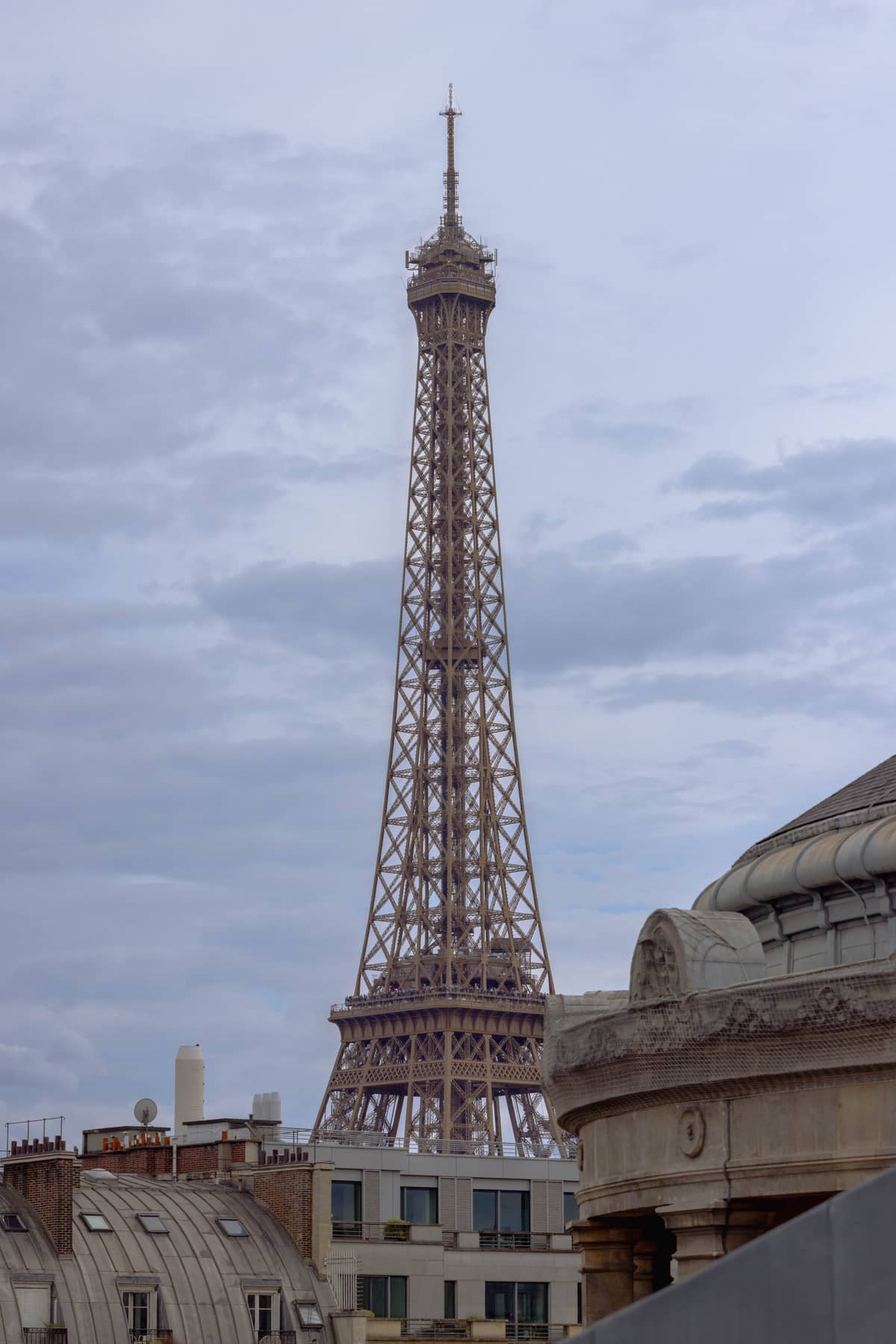 Portfolio — photo 6